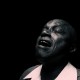 sonny knight