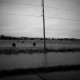 The scenic drive home